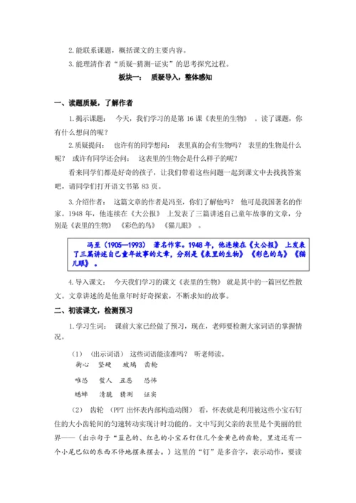 《16.表里的生物》（第一课时）（优课）教案