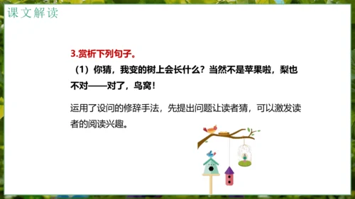 5我变成了一棵树   课件