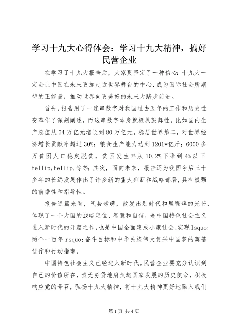 学习十九大心得体会：学习十九大精神，搞好民营企业.docx