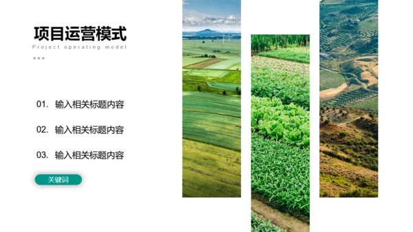 美丽乡村旅游项目乡村旅游通用PPT模板