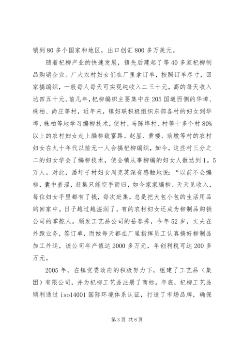 妇联增收致富调查工作汇报.docx