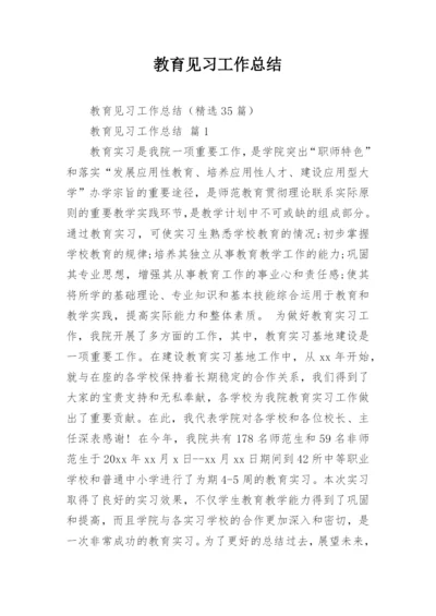 教育见习工作总结.docx