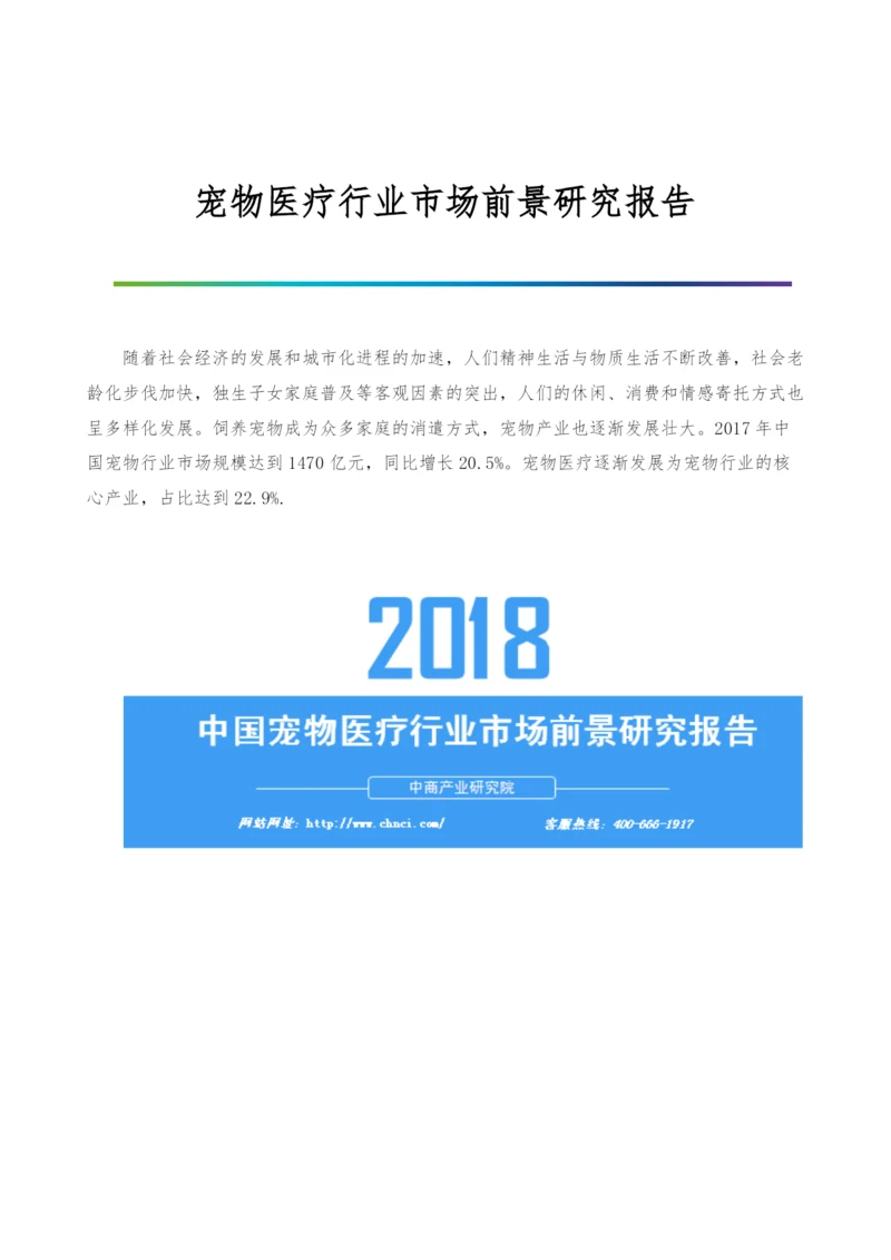 宠物医疗行业市场前景研究报告.docx