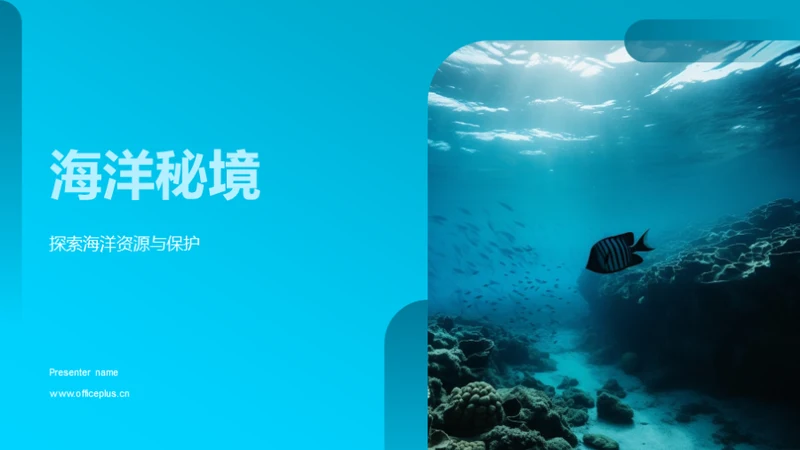 海洋秘境