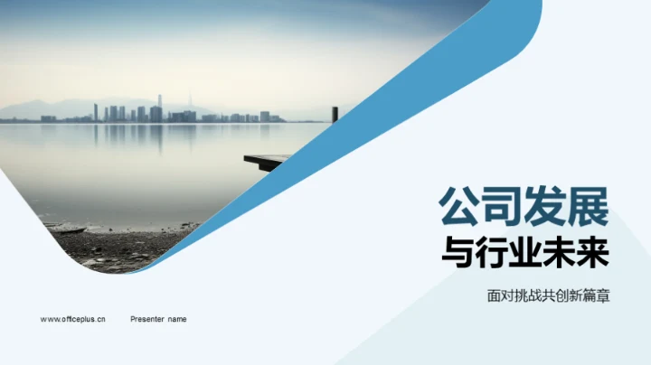 公司发展与行业未来