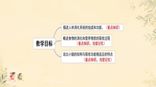 初中生物学人教版（新课程标准）七年级下册第4.2.2 消化和吸收课件(共21张PPT)