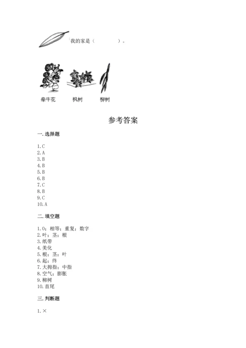 教科版一年级上册科学期末测试卷【轻巧夺冠】.docx