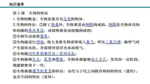 人教版生物七年级上册第一单元《生物与细胞》单元复习课件(共53张PPT)