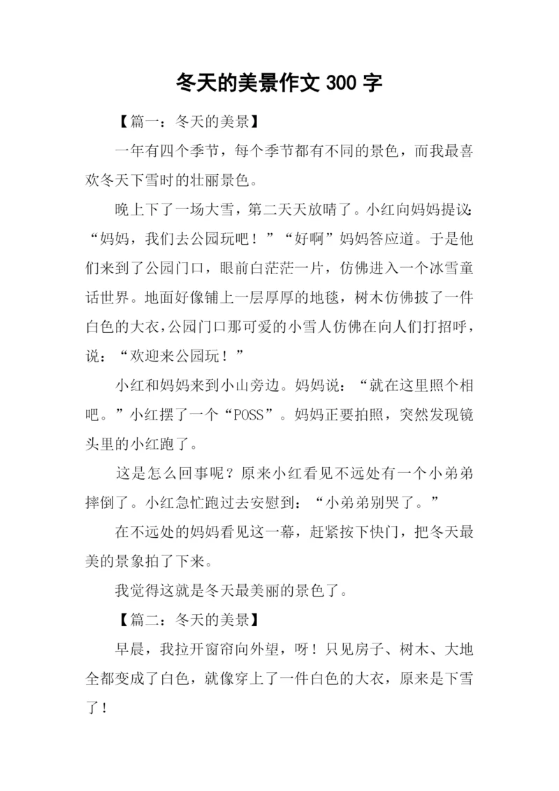 冬天的美景作文300字.docx