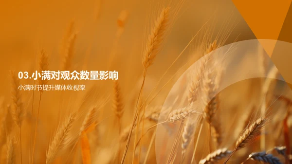 小满季节与传媒影响力