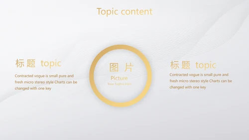 道德与法治工作总结动态PPT模板
