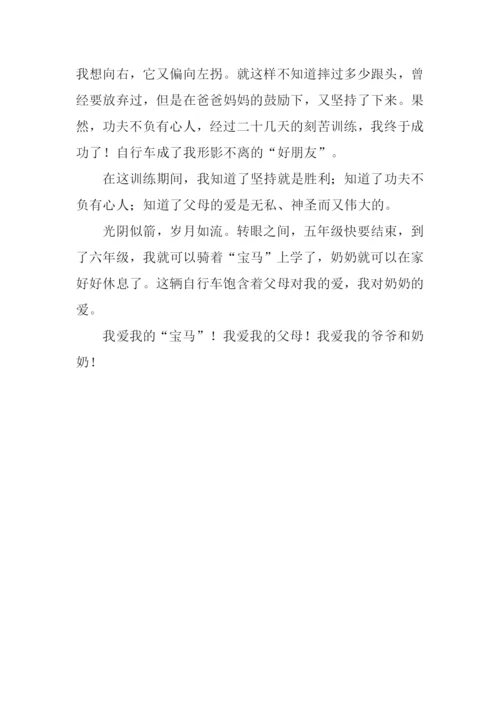 我学会了骑自行车作文600字-2.docx
