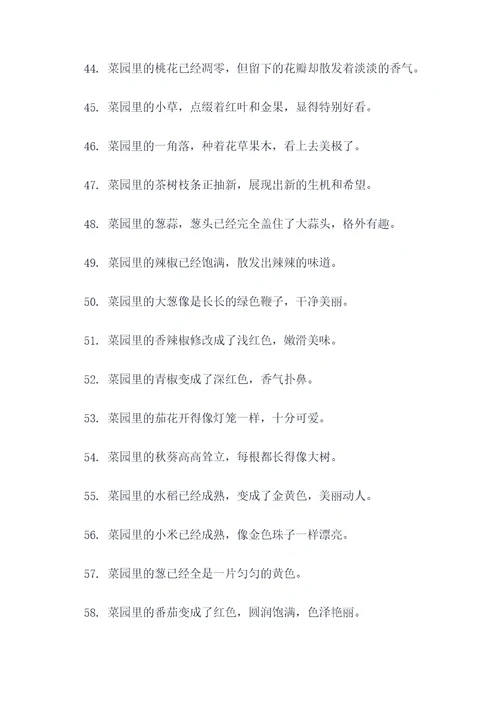 描写秋天的菜园好词好句