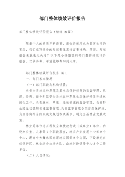 部门整体绩效评价报告.docx