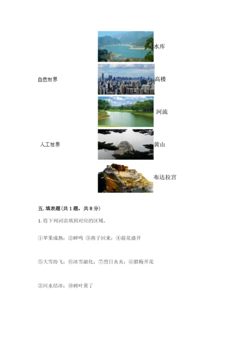 教科版小学二年级上册科学期末测试卷【精华版】.docx