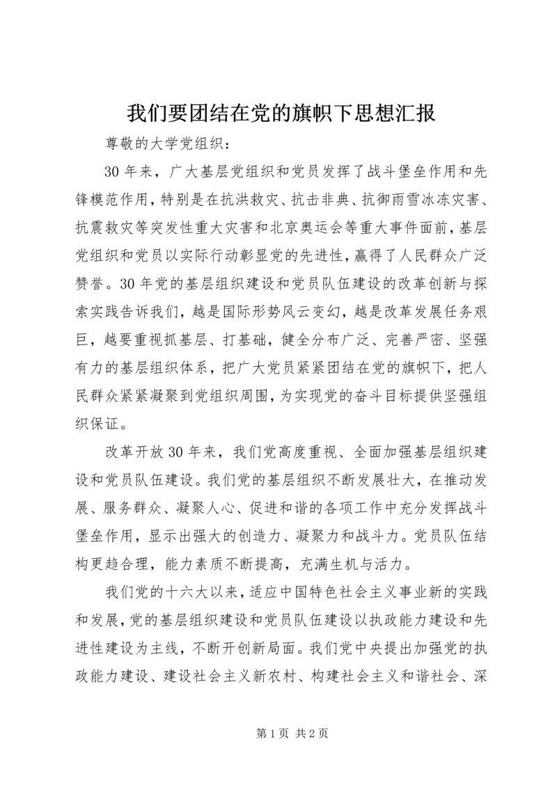 我们要团结在党的旗帜下思想汇报 (2).docx