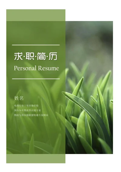 简历封面封底求职套餐