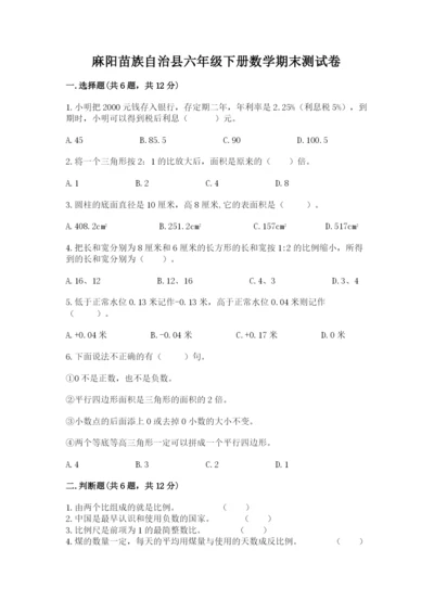 麻阳苗族自治县六年级下册数学期末测试卷（名师推荐）.docx