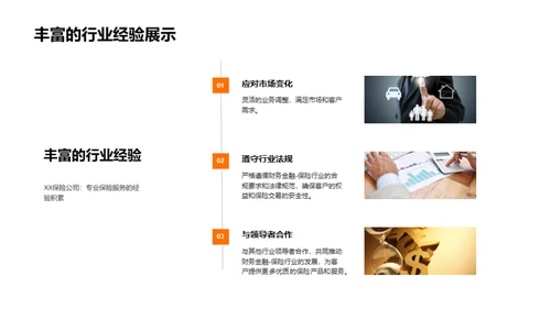 保险领航者：XX公司纵览
