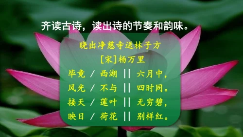 二下《古诗二》第一课时