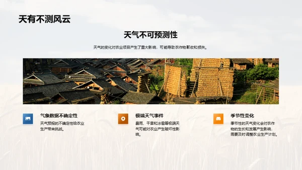 农业项目投资策略
