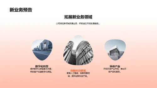 20XX业务回顾与展望