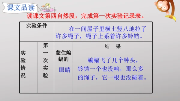 6 夜间飞行的秘密   课件