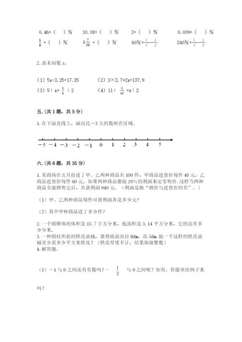 人教版数学六年级下册试题期末模拟检测卷【典优】.docx