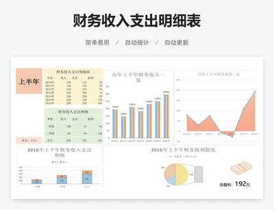 财务收入支出明细表