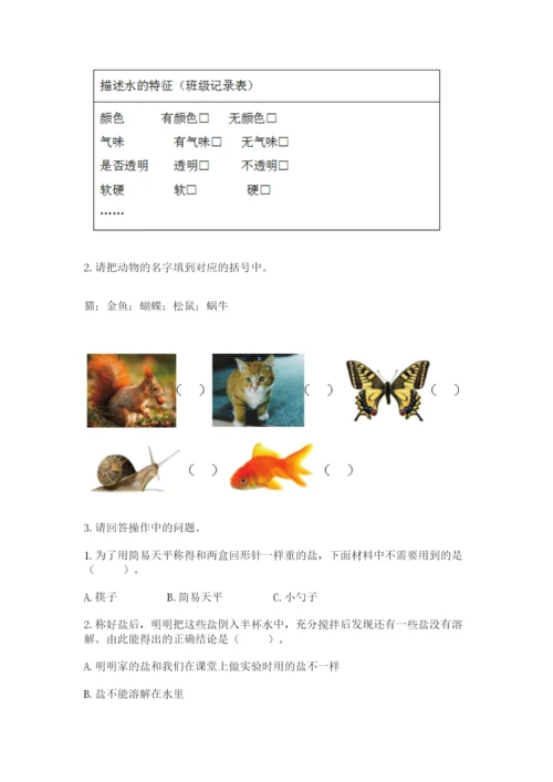 教科版一年级下册科学期末测试卷及精品答案.docx
