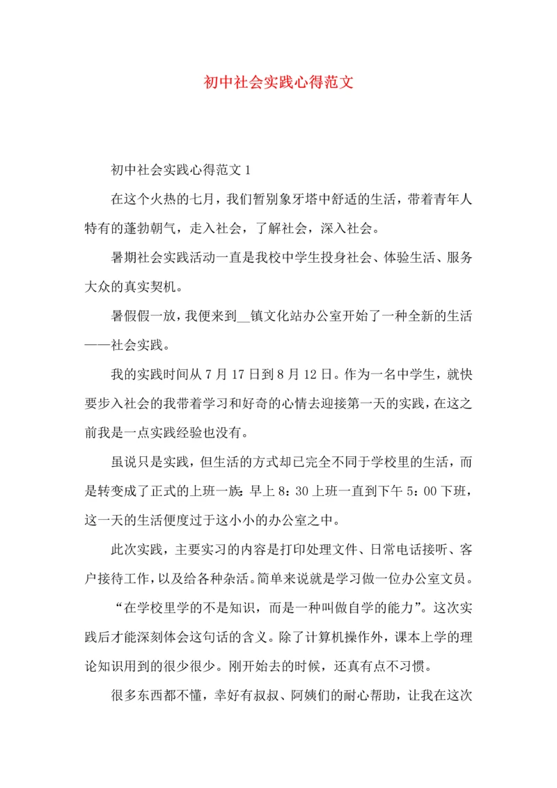 初中社会实践心得范文.docx