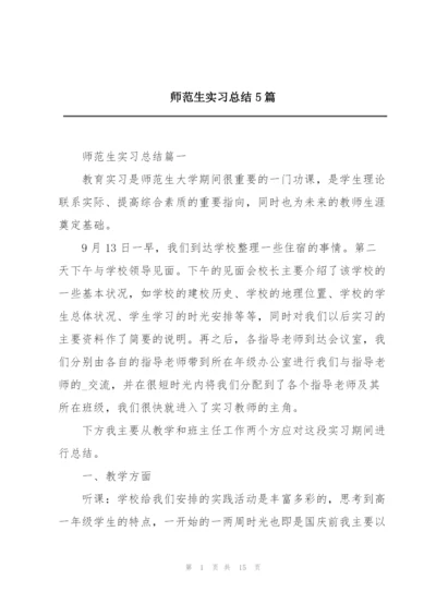 师范生实习总结5篇.docx