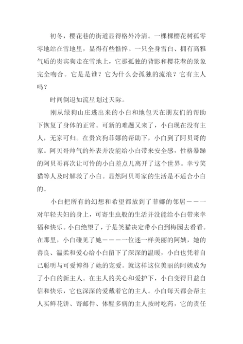 小白的选择读后感作文.docx