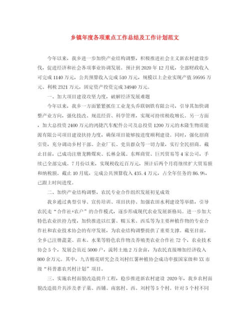 精编之乡镇年度各项重点工作总结及工作计划范文.docx