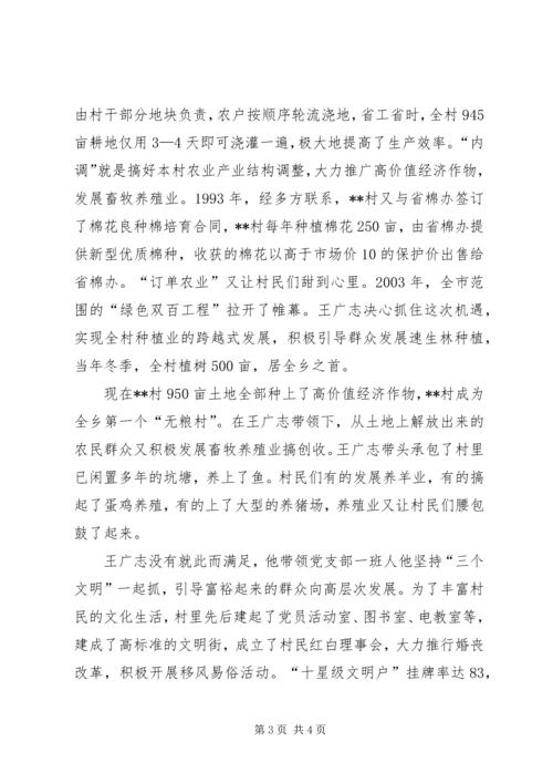 乡镇村党支部先进事迹材料.docx