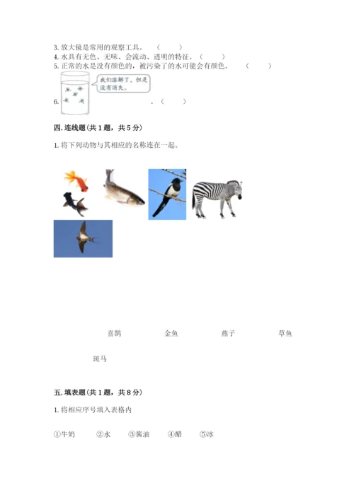 教科版小学科学一年级下册期末测试卷及参考答案1套.docx