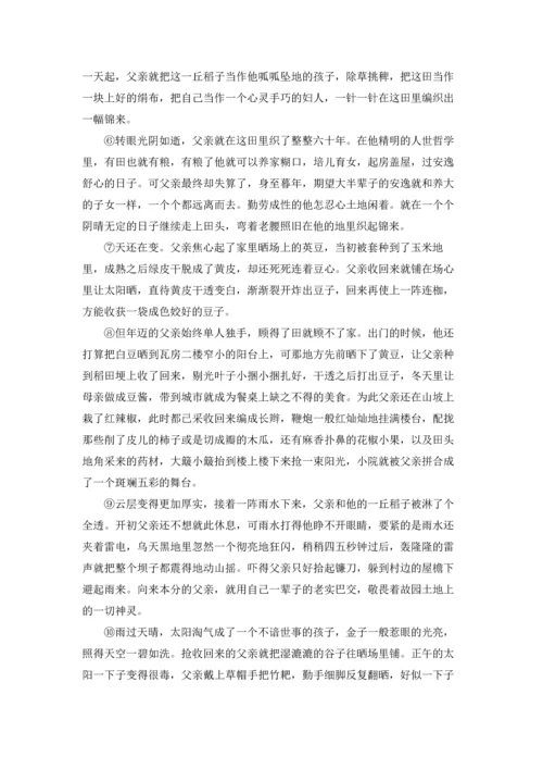 父亲的阳光阅读答案.docx