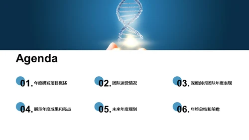 研发团队年度回顾