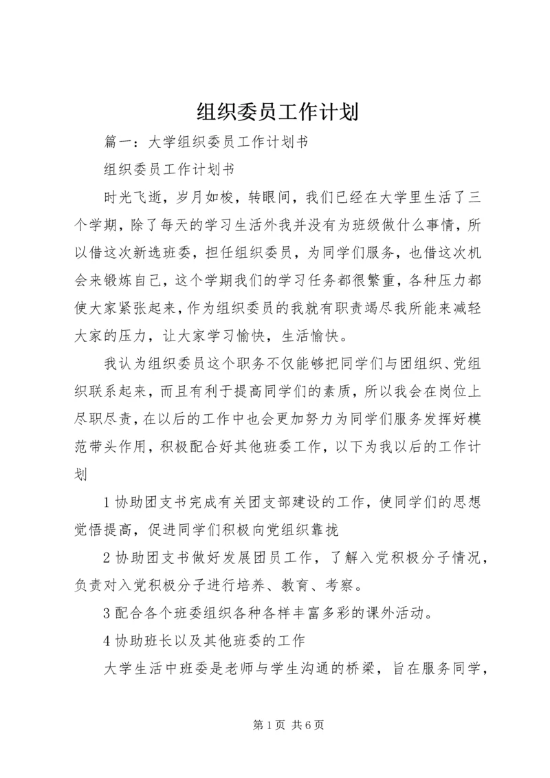 组织委员工作计划 (11).docx