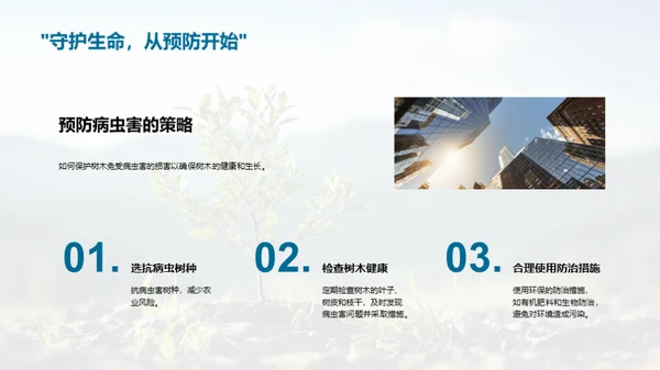 植树科普：理论与实践