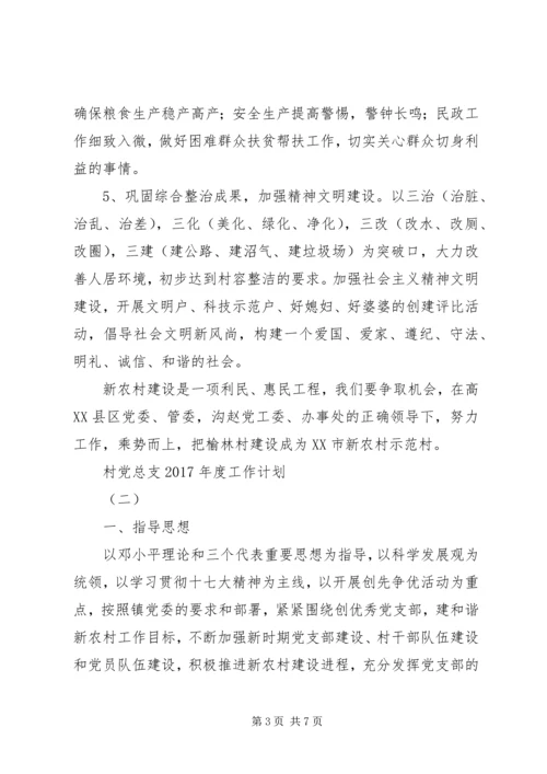 村党总支XX年度工作计划.docx
