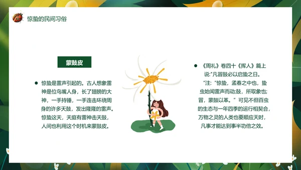 七星瓢虫惊蛰PPT模板