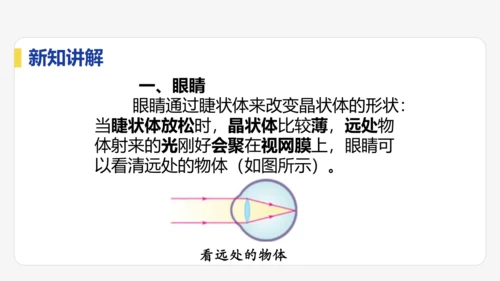 5.4  眼睛与眼镜  课件