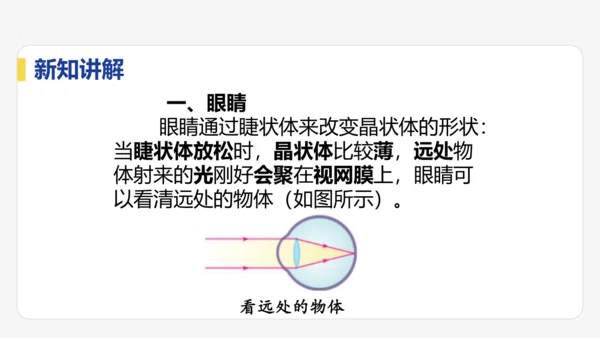 5.4  眼睛与眼镜  课件