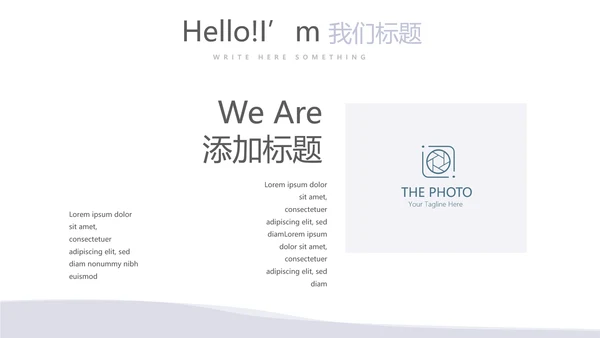法律总结动态PPT