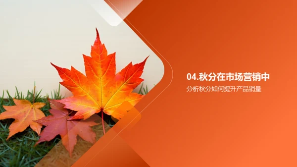 秋分营销策略解析