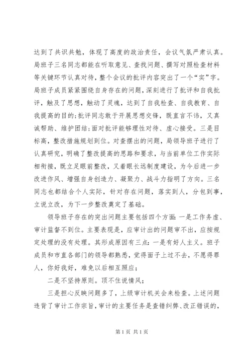 审计局领导班子巡视整改专题民主生活会报告.docx