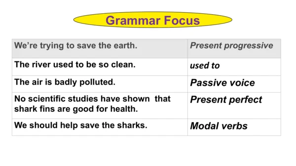 Unit 13 Section A Grammar 课件（人教九年级英语Unit 13  We're