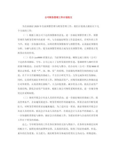 精编之公司财务管理工作计划范文.docx