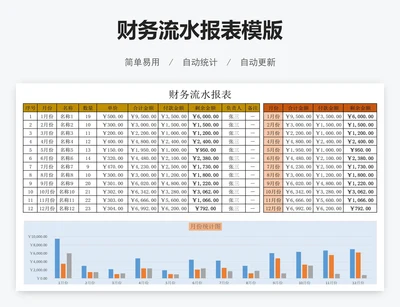 财务流水报表模版